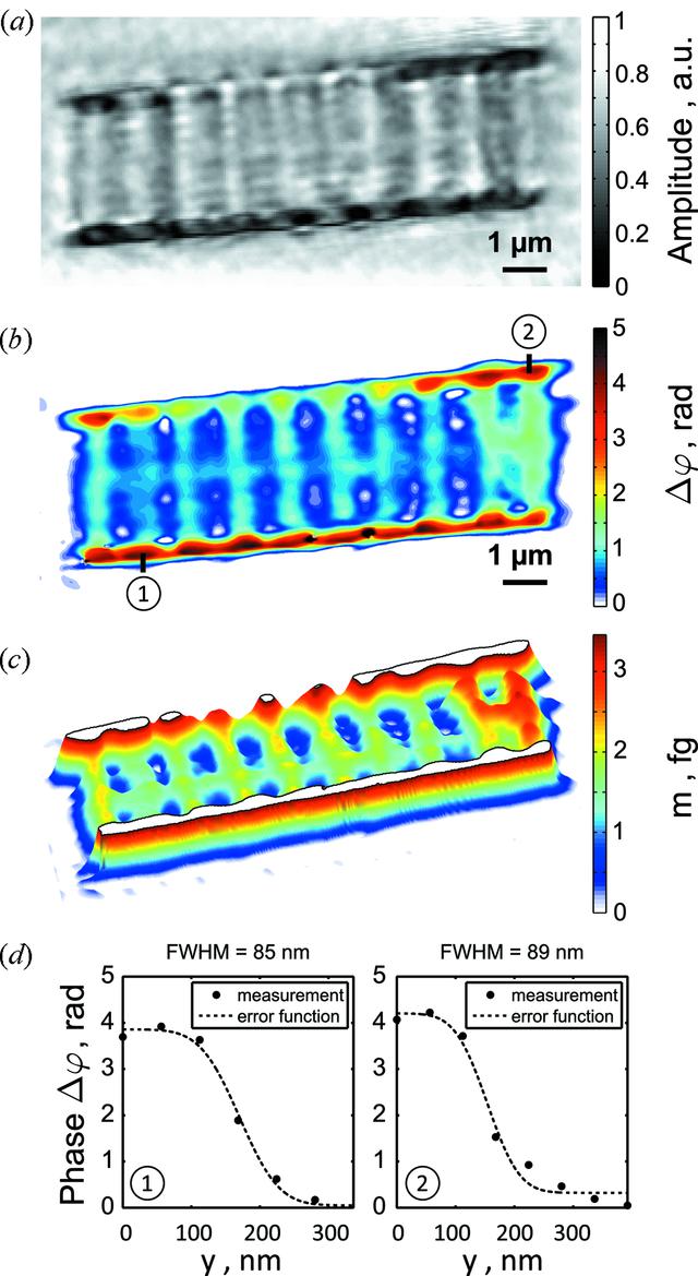 [Figure 7]