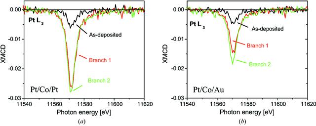 [Figure 4]