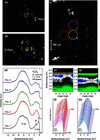 [Figure 2]