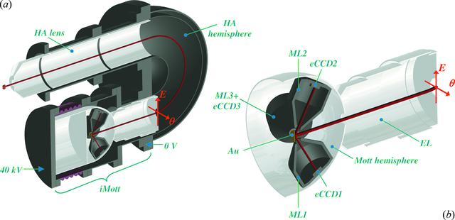 [Figure 1]