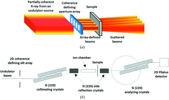 [Figure 2]