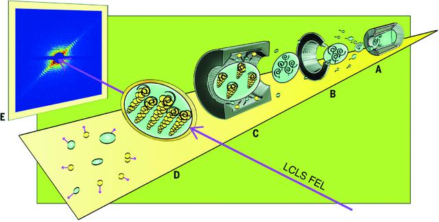 [Figure 2]