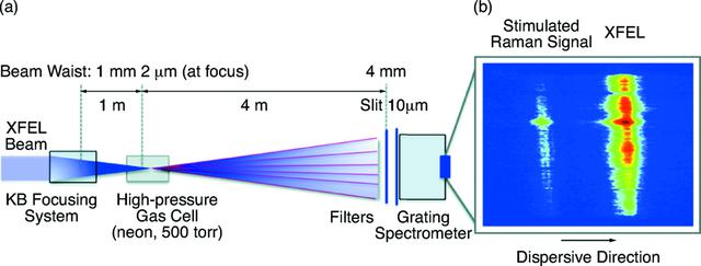 [Figure 4]