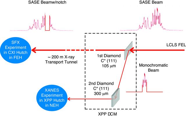 [Figure 1]