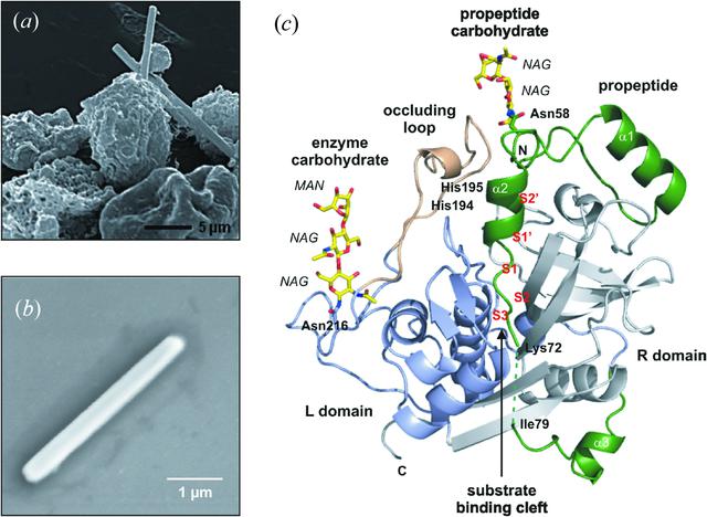 [Figure 2]