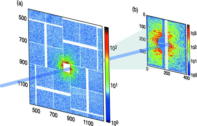 [Figure 3]