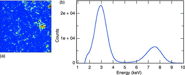 [Figure 6]