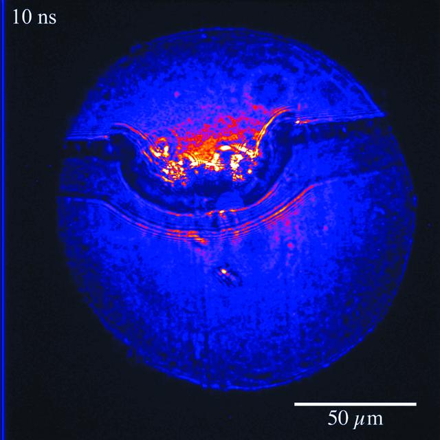 [Figure 4]