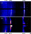 [Figure 6]