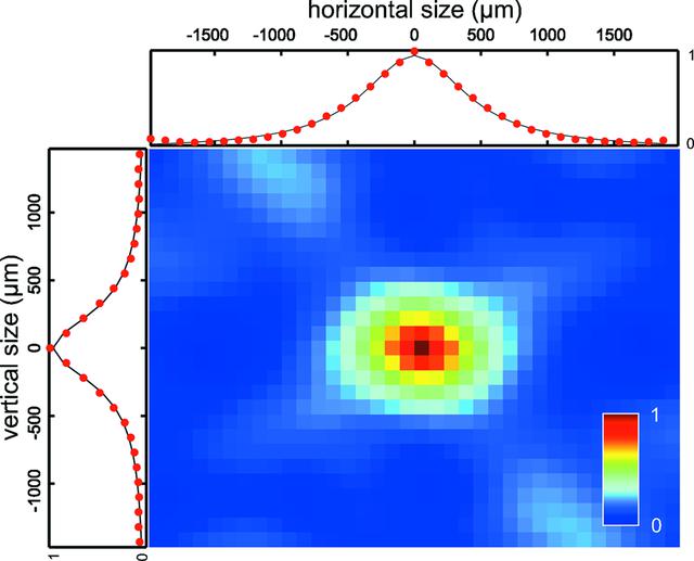 [Figure 3]