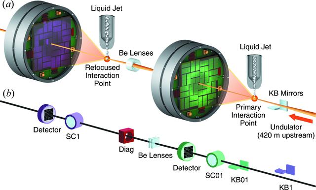 [Figure 1]