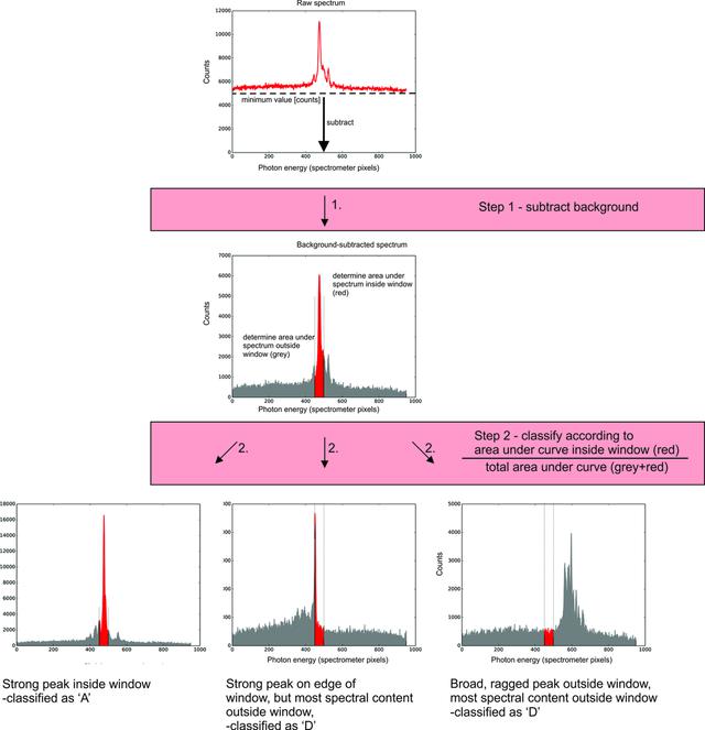 [Figure 2]