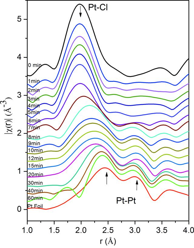 [Figure 10]