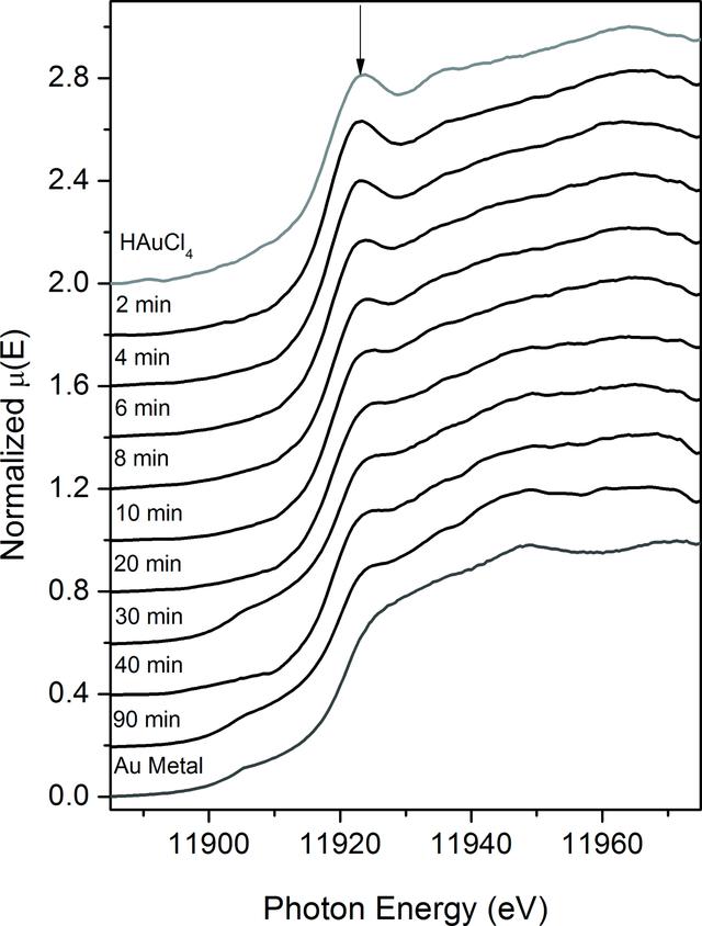 [Figure 3]