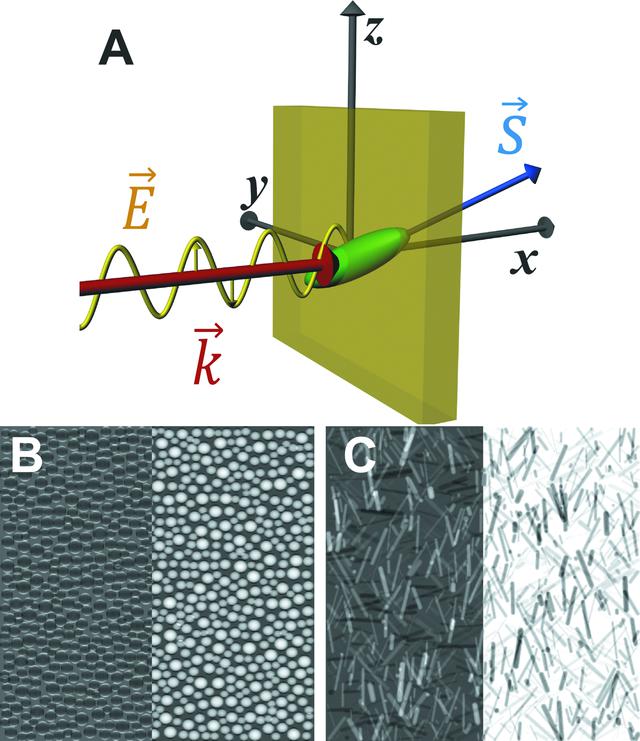 [Figure 3]