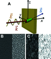 [Figure 3]