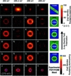 [Figure 4]