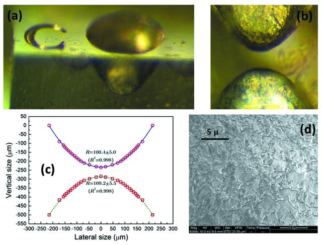 [Figure 1]