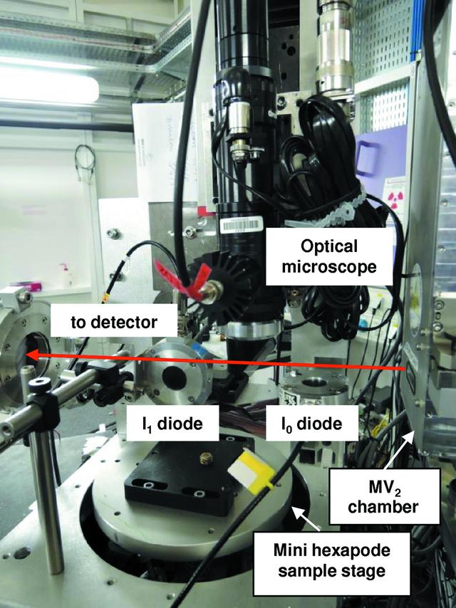 [Figure 25]