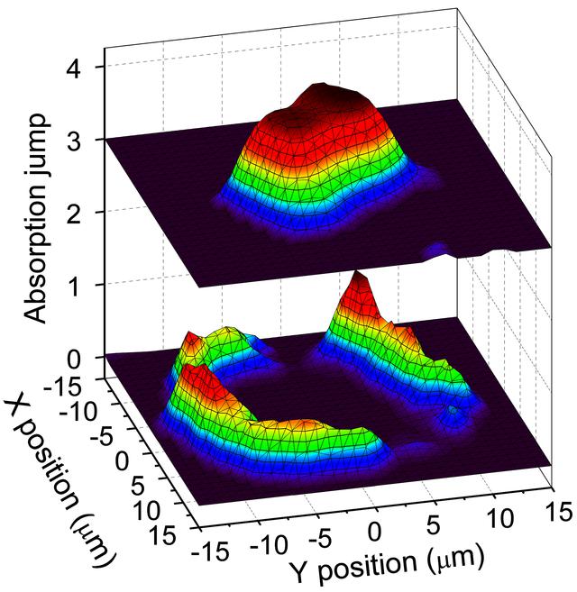 [Figure 29]