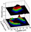 [Figure 29]