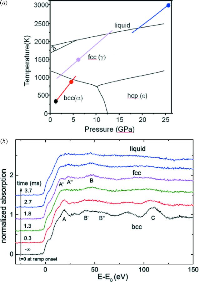 [Figure 31]