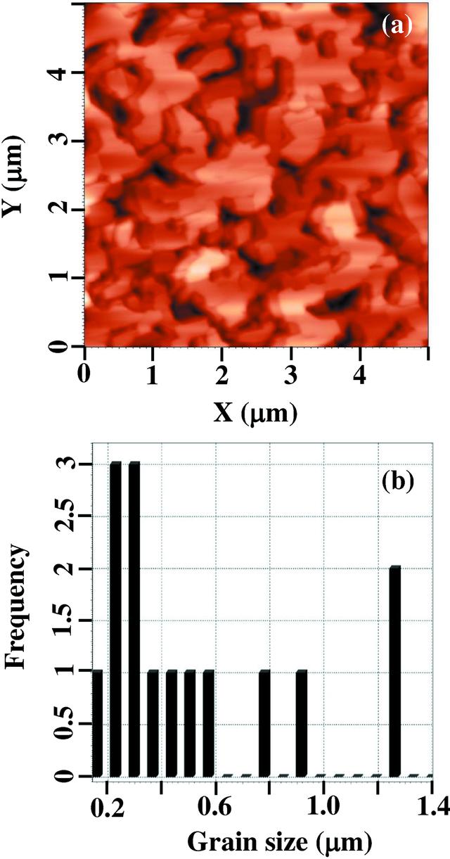 [Figure 4]