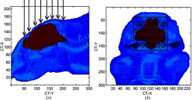 [Figure 1]