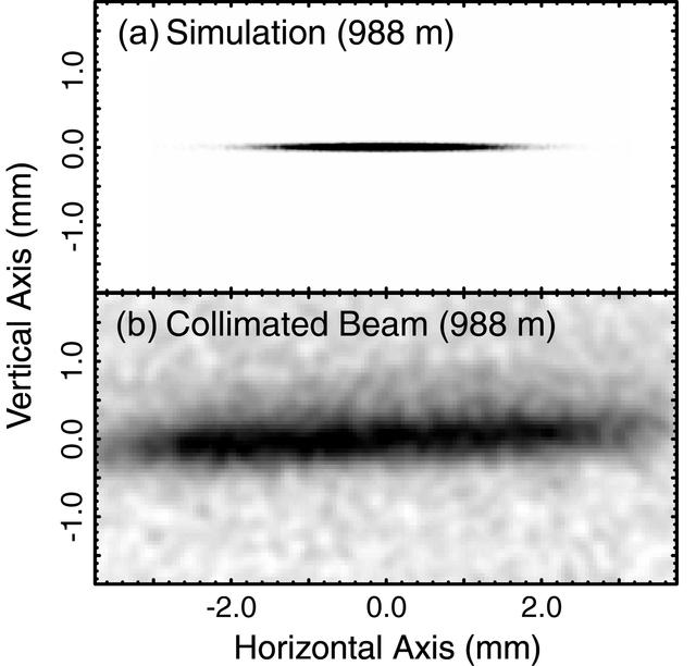 [Figure 1]