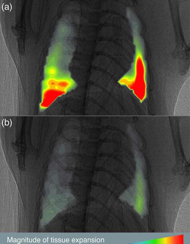 [Figure 4]