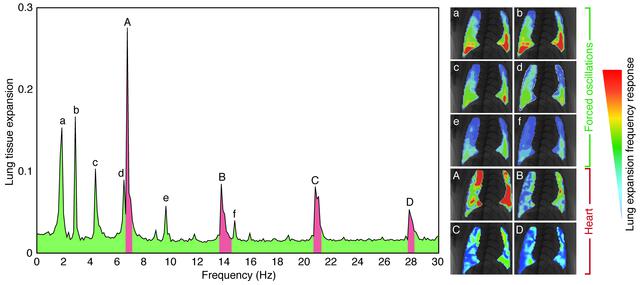 [Figure 6]