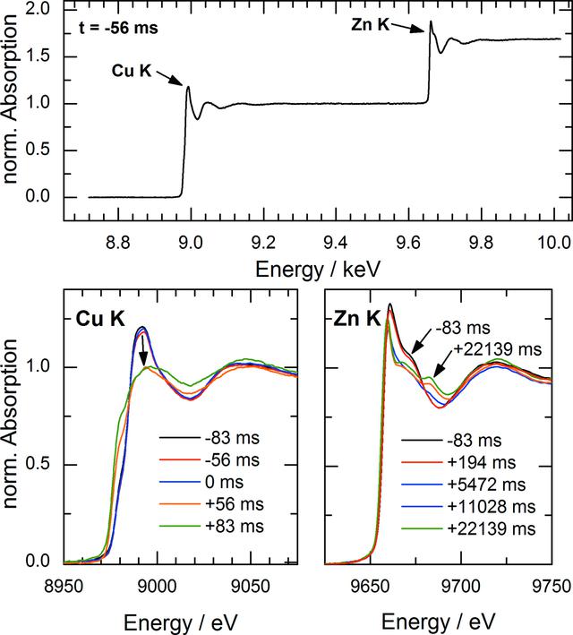 [Figure 10]