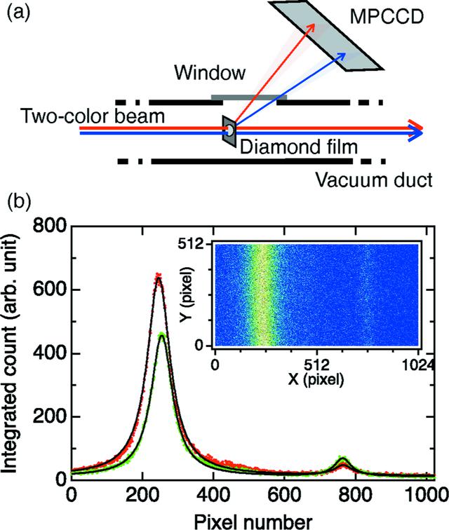 [Figure 1]