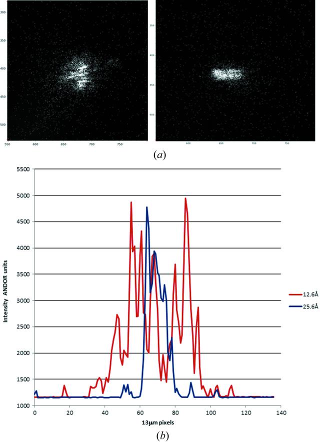 [Figure 2]