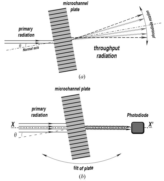 [Figure 1]