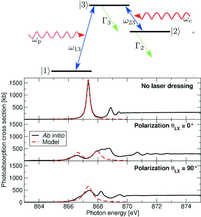 [Figure 10]