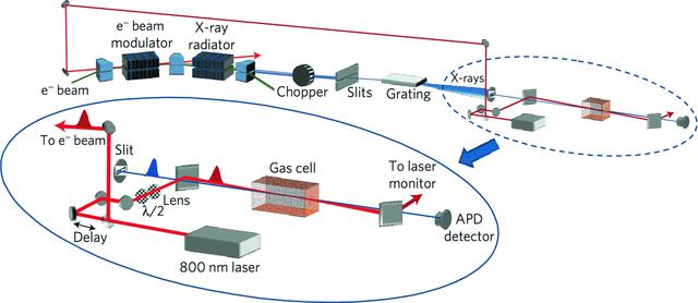 [Figure 13]