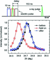 [Figure 5]