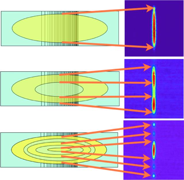 [Figure 6]