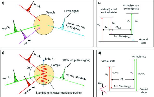 [Figure 1]