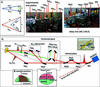 [Figure 3]