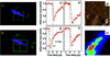 [Figure 4]