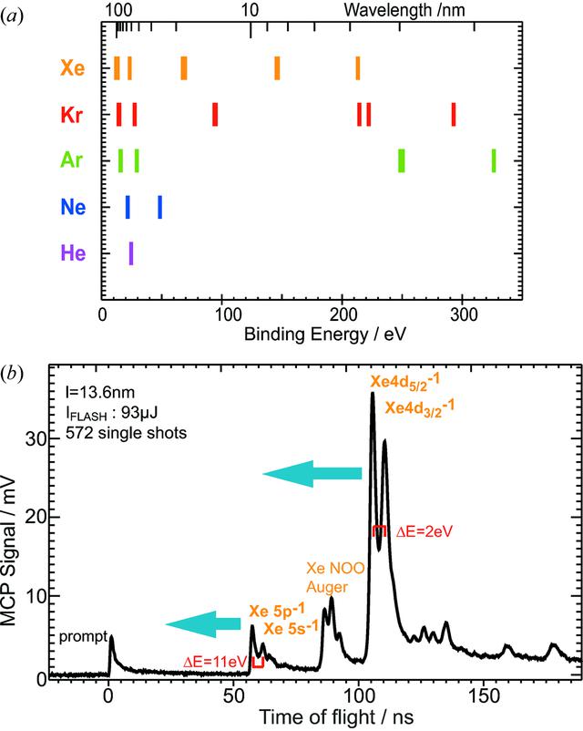 [Figure 2]