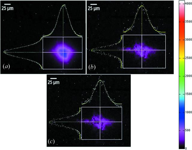 [Figure 10]