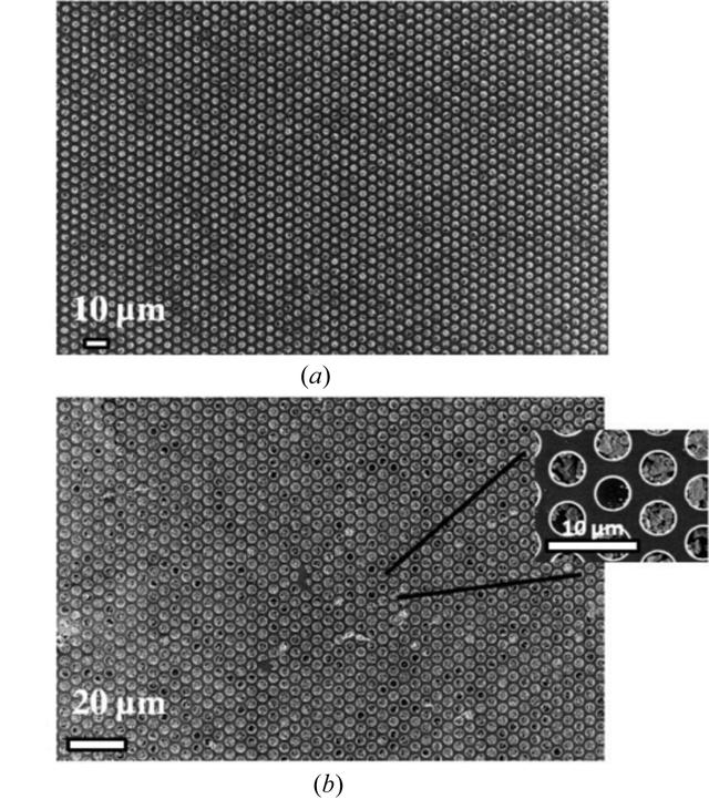 [Figure 5]