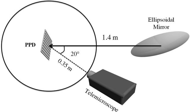 [Figure 6]