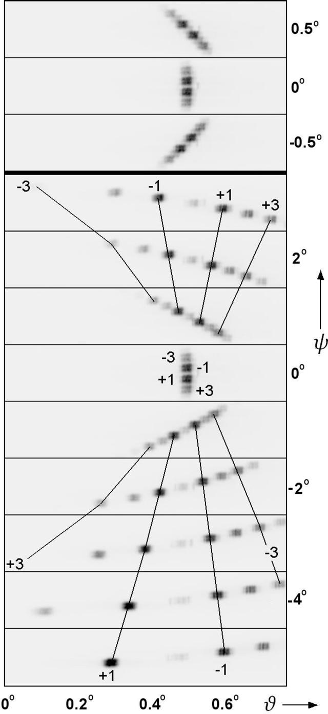 [Figure 5]