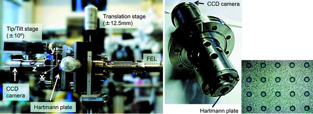 [Figure 3]