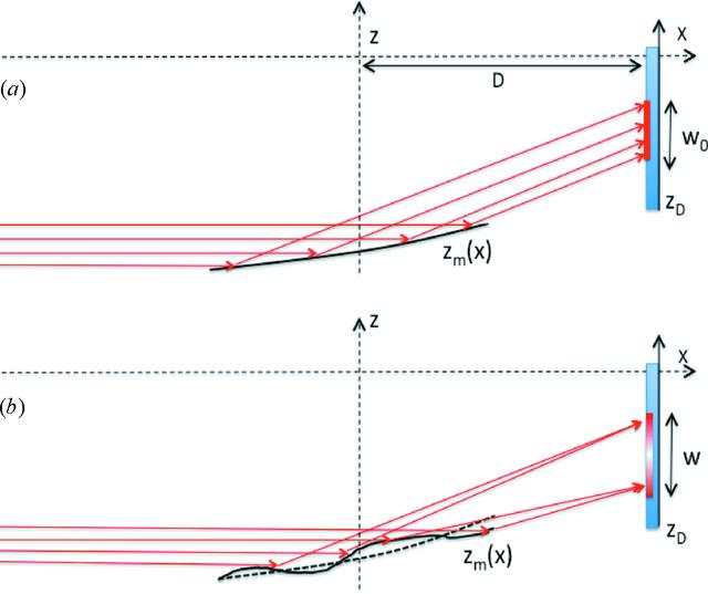 [Figure 10]