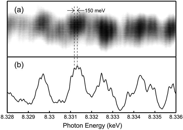 [Figure 5]